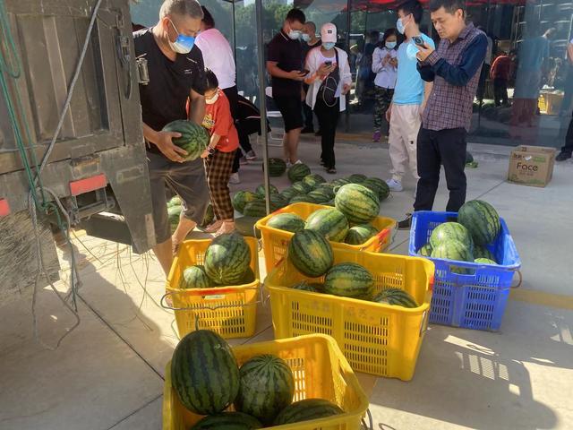 我不再迷茫思念是唯一的行囊，我不再迷茫思念是唯一的行囊歌词