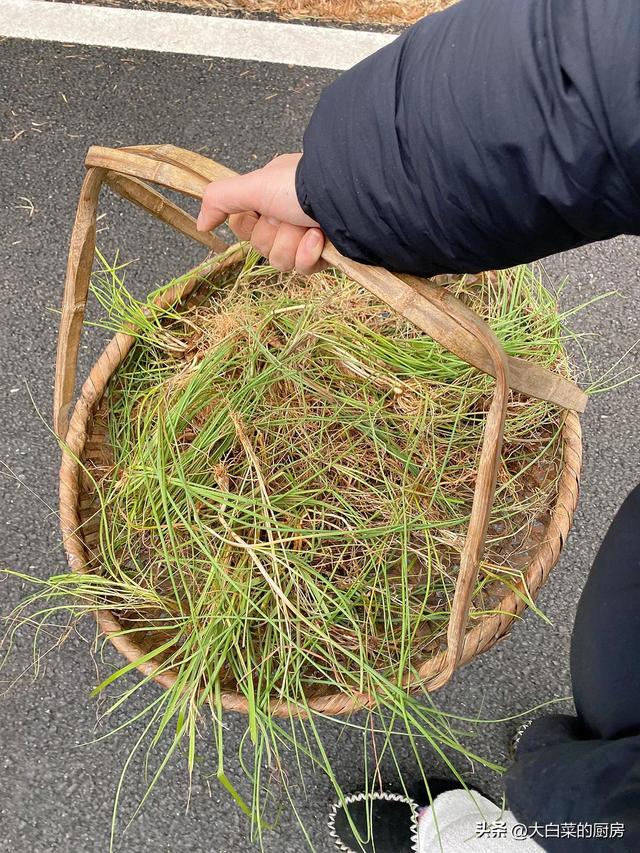 体验大自然的感悟和心情大学作文，体验大自然的感悟和心情作文