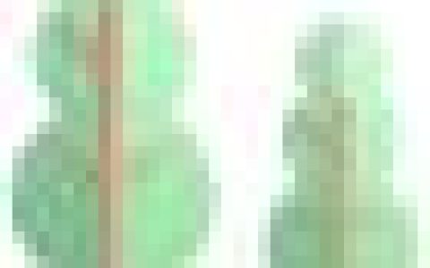 歪脖子树代表什么意思，歪脖子树有什么寓意