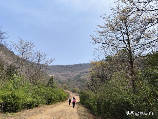我从阳山来，带回春消息
