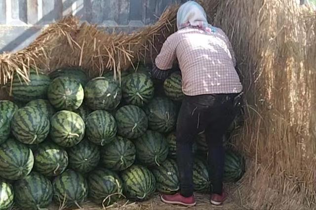 我不再迷茫思念是唯一的行囊，我不再迷茫思念是唯一的行囊歌词