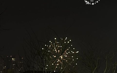 往后余生的全部歌词，歌曲往后余生歌词