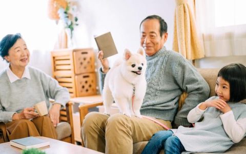 外婆的家电视剧在线观看，外婆的家电视剧在线观看全集
