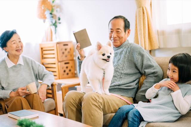 外婆的家电视剧在线观看，外婆的家电视剧在线观看全集