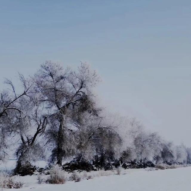 我不再迷茫思念是唯一的行囊是什么歌，你从未离去歌词